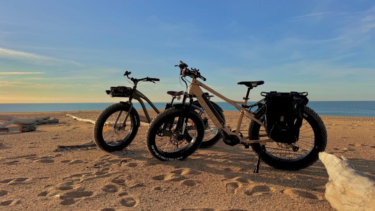 Fat bikes Gorille face à l'océan Atlantique