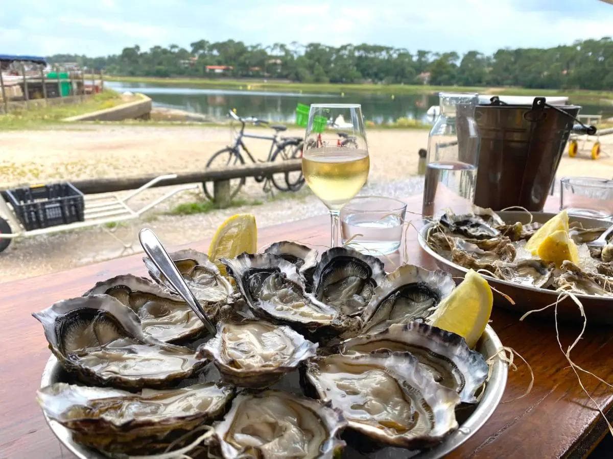 Huîtres fraîches avec un verre de vin blanc des Landes